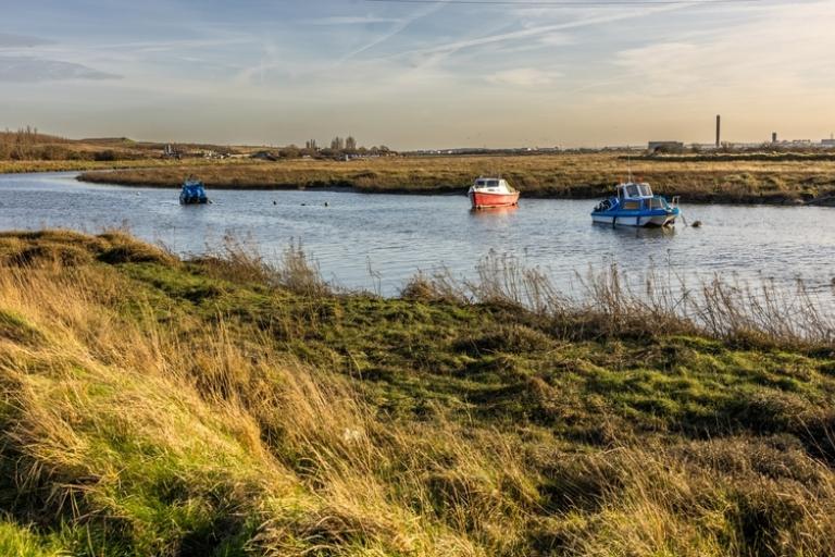 Wat Tyler Country Park